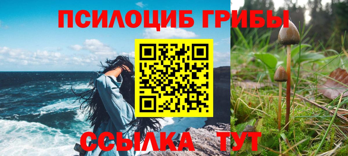 Псилоцибиновые грибы мицелий Моршанск