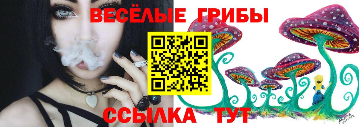 Галлюциногенные грибы ЛСД  Вход с VPN  Моршанск  Псилоцибиновые грибы Cubensis 